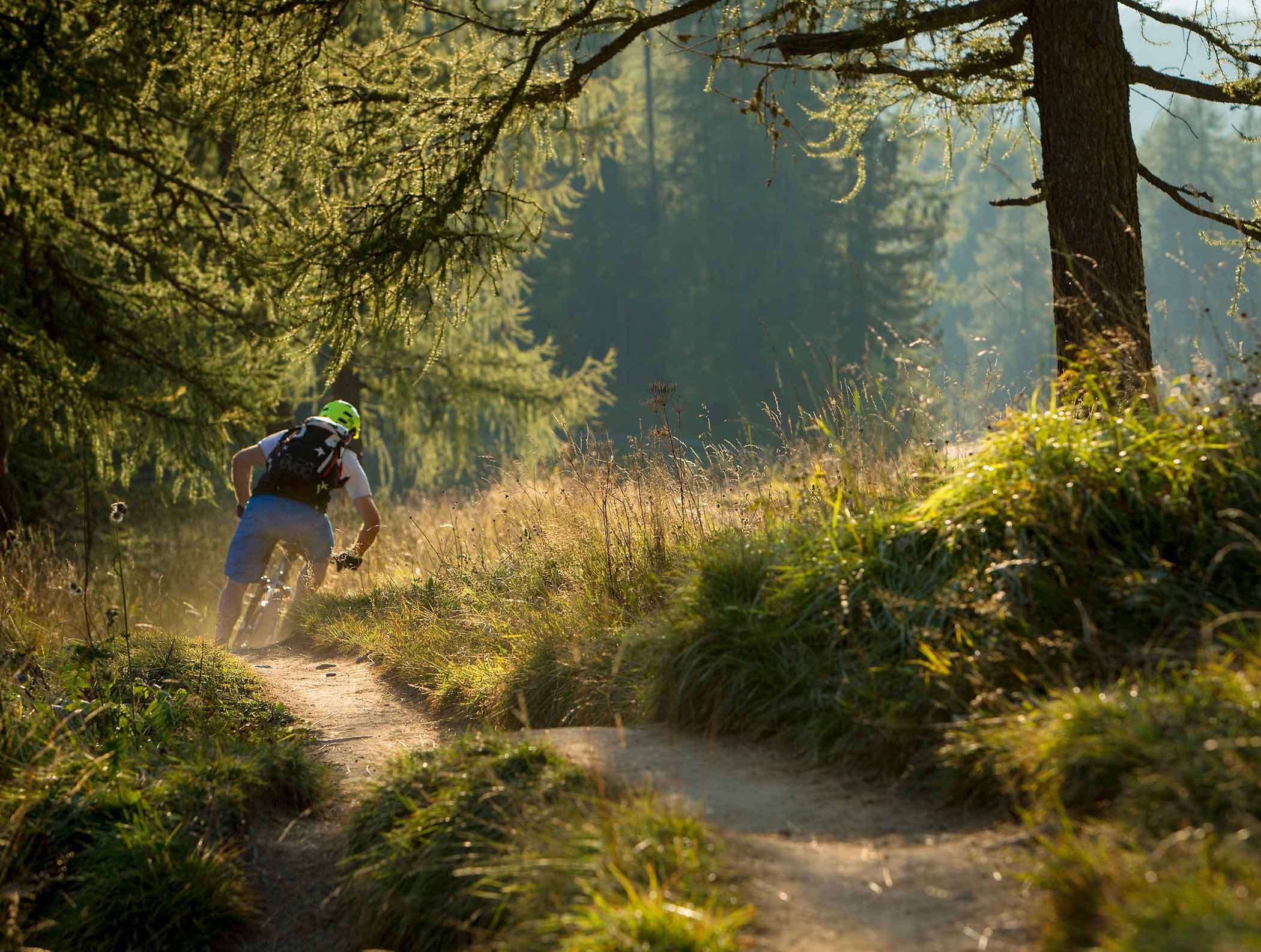 Waldweg im Sommer Radfahren | Hotel Störes