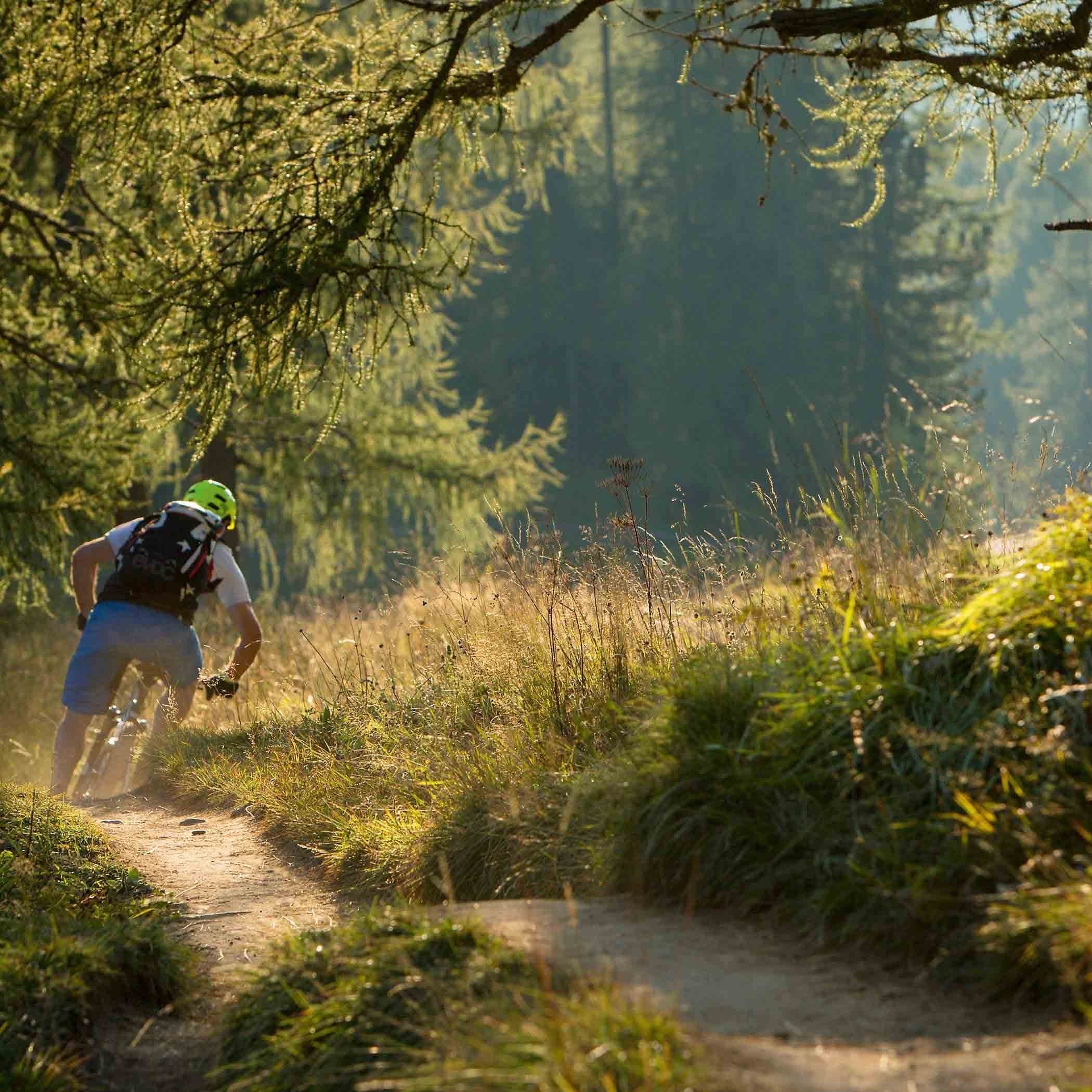 Mountain bike nelle Dolomiti | Hotel Störes